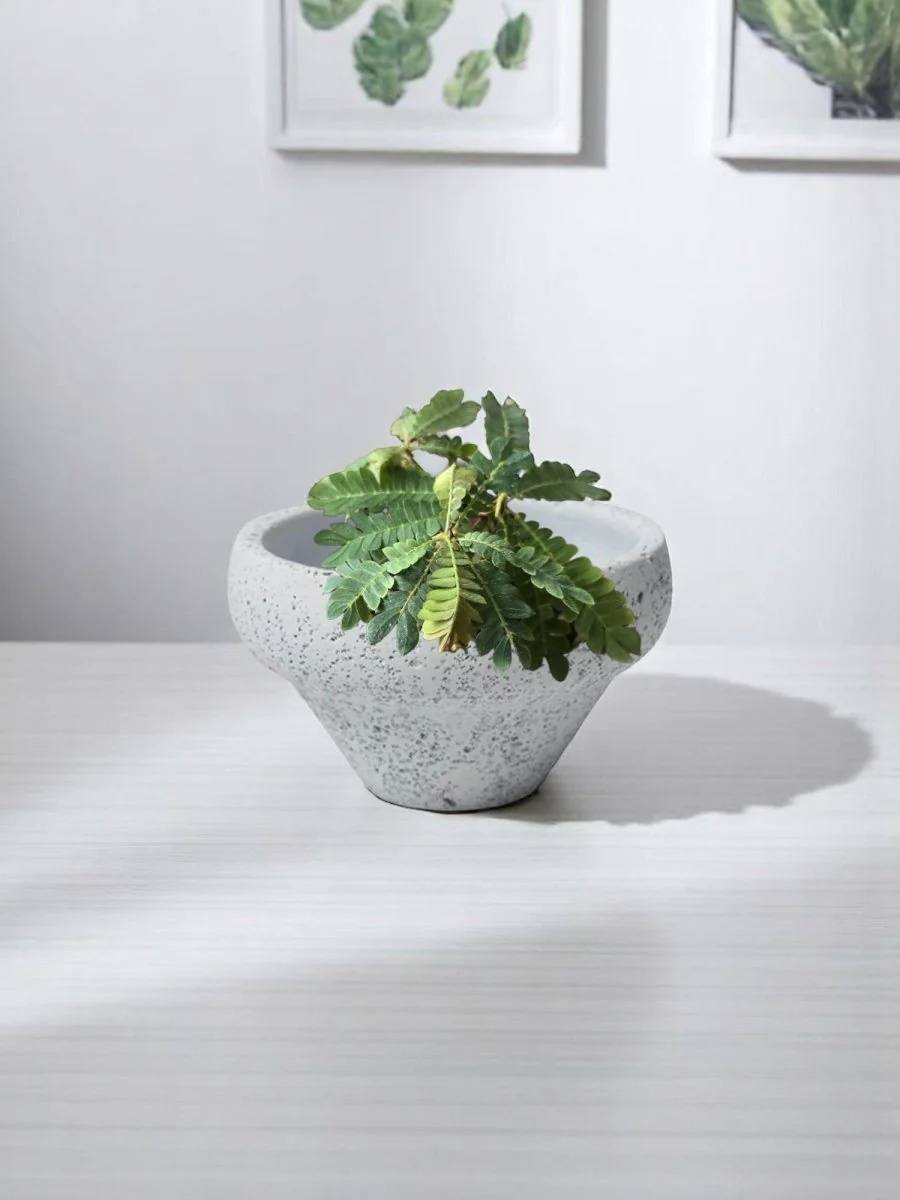 Little Tree - Image 7