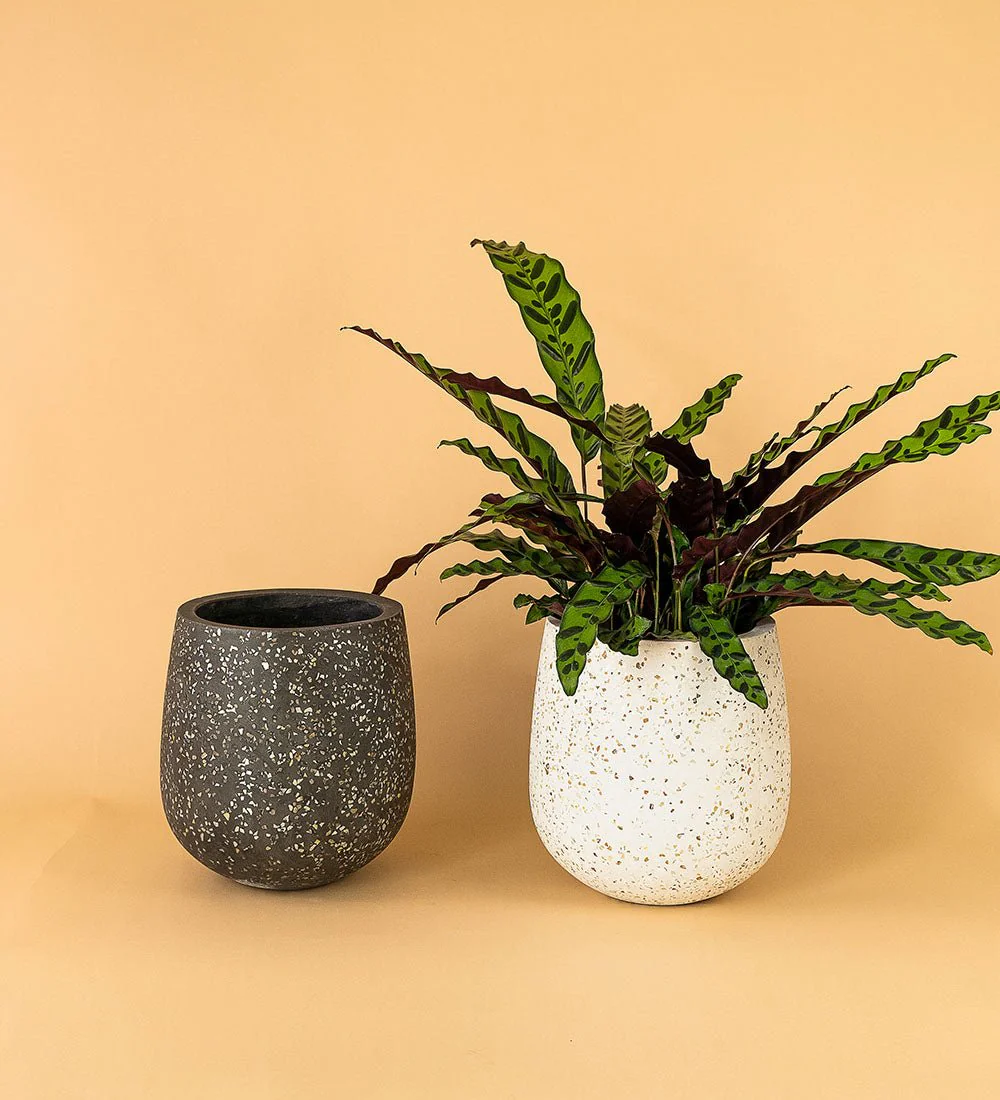 Little Tulip Pots - Image 10