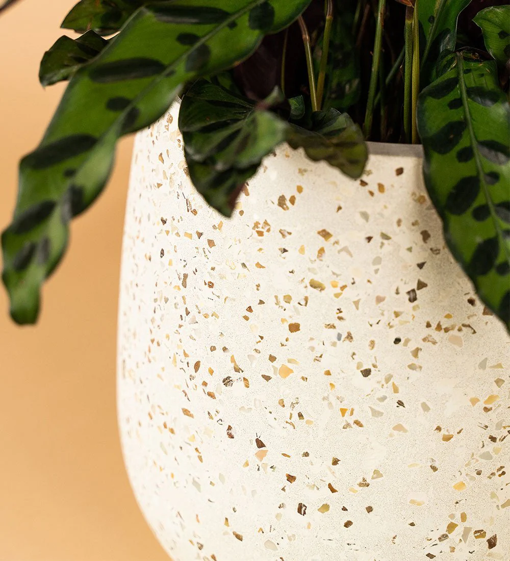 Little Tulip Pots - Image 8