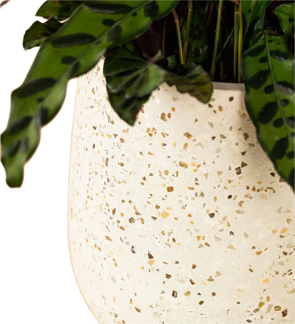 Little Tulip Pots - Image 9