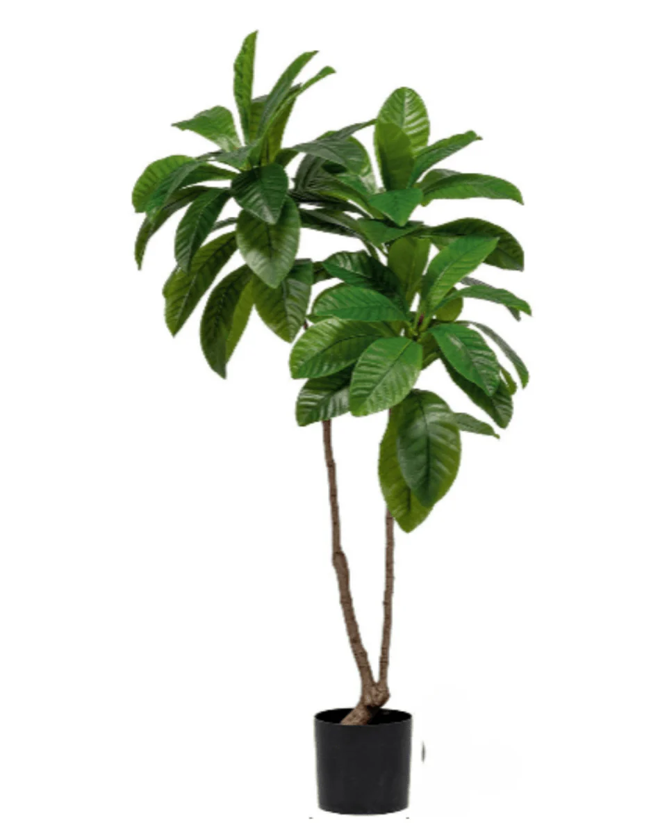 Loquat Tree (Life-like Artificial) - Image 10