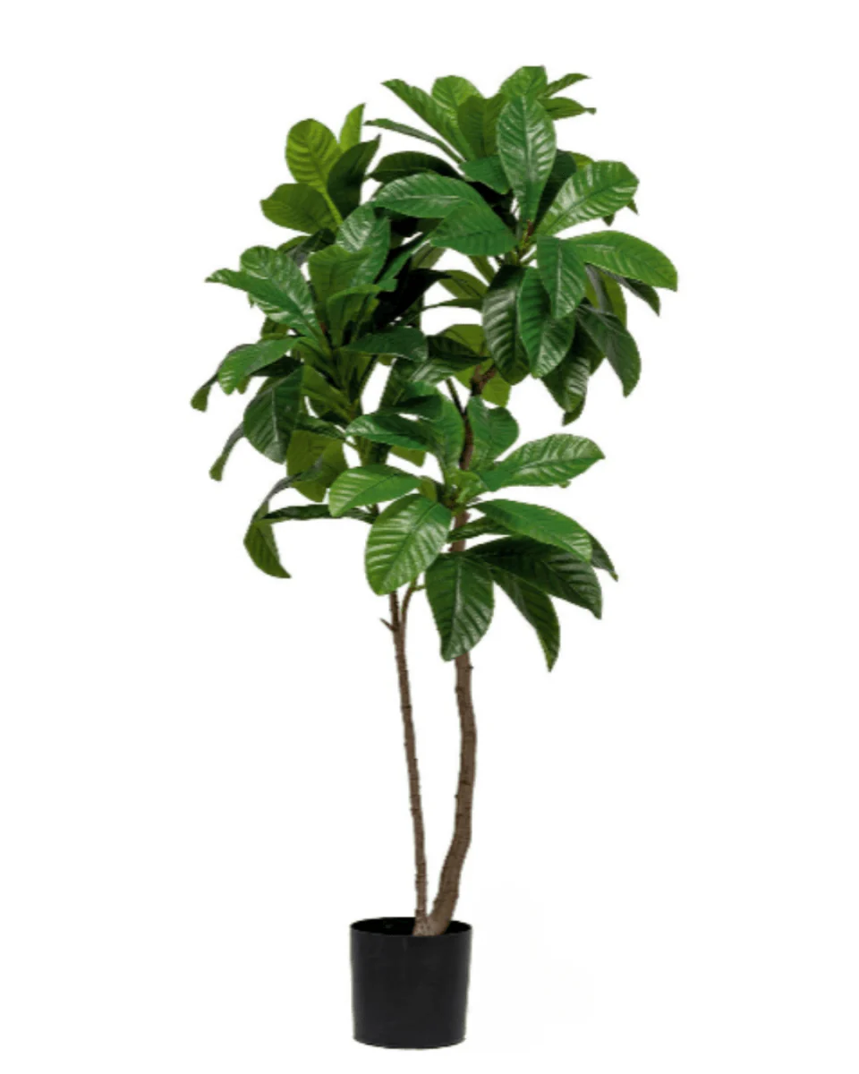 Loquat Tree (Life-like Artificial) - Image 11