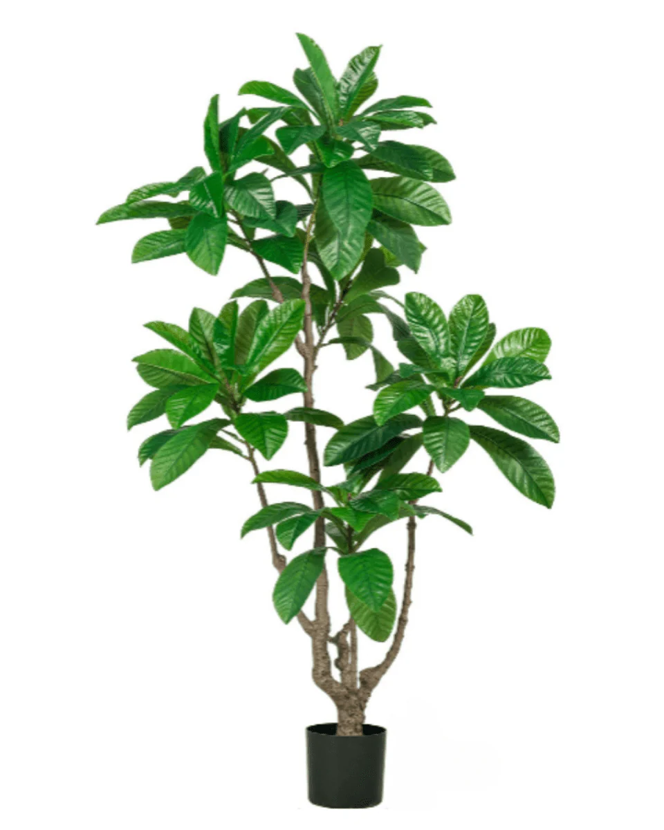 Loquat Tree (Life-like Artificial) - Image 12