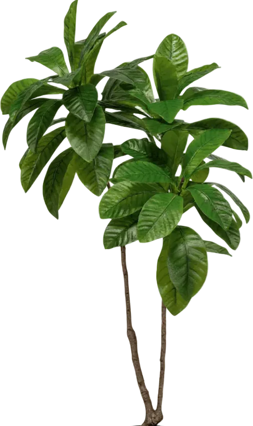 Loquat Tree (Life-like Artificial) - Image 14