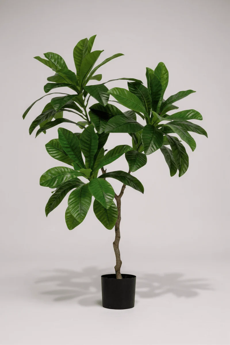 Loquat Tree (Life-like Artificial) - Image 4