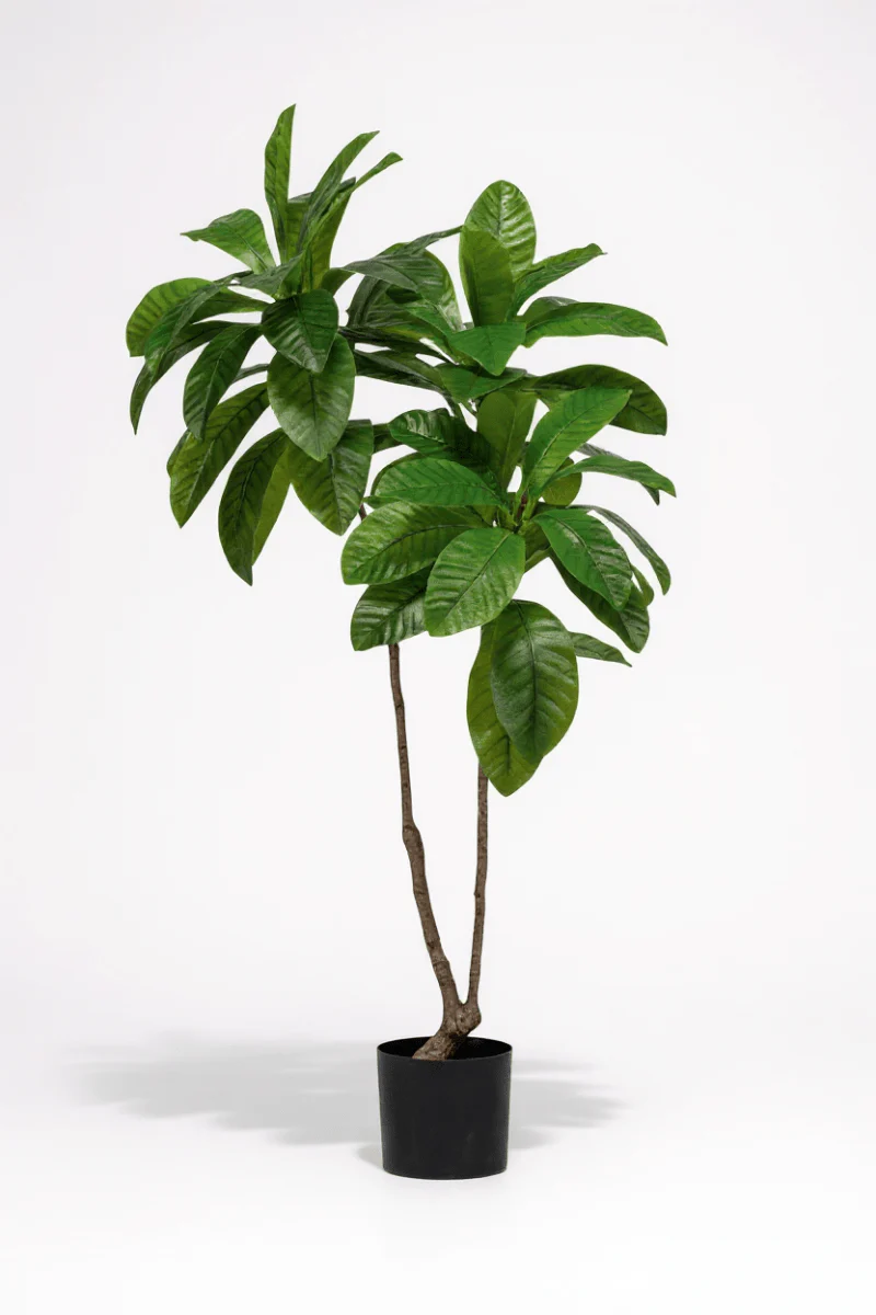 Loquat Tree (Life-like Artificial) - Image 5