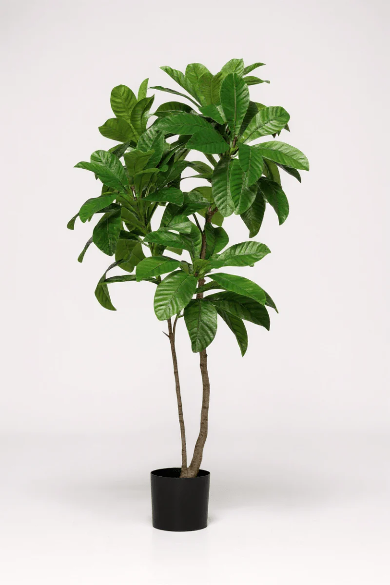 Loquat Tree (Life-like Artificial) - Image 6
