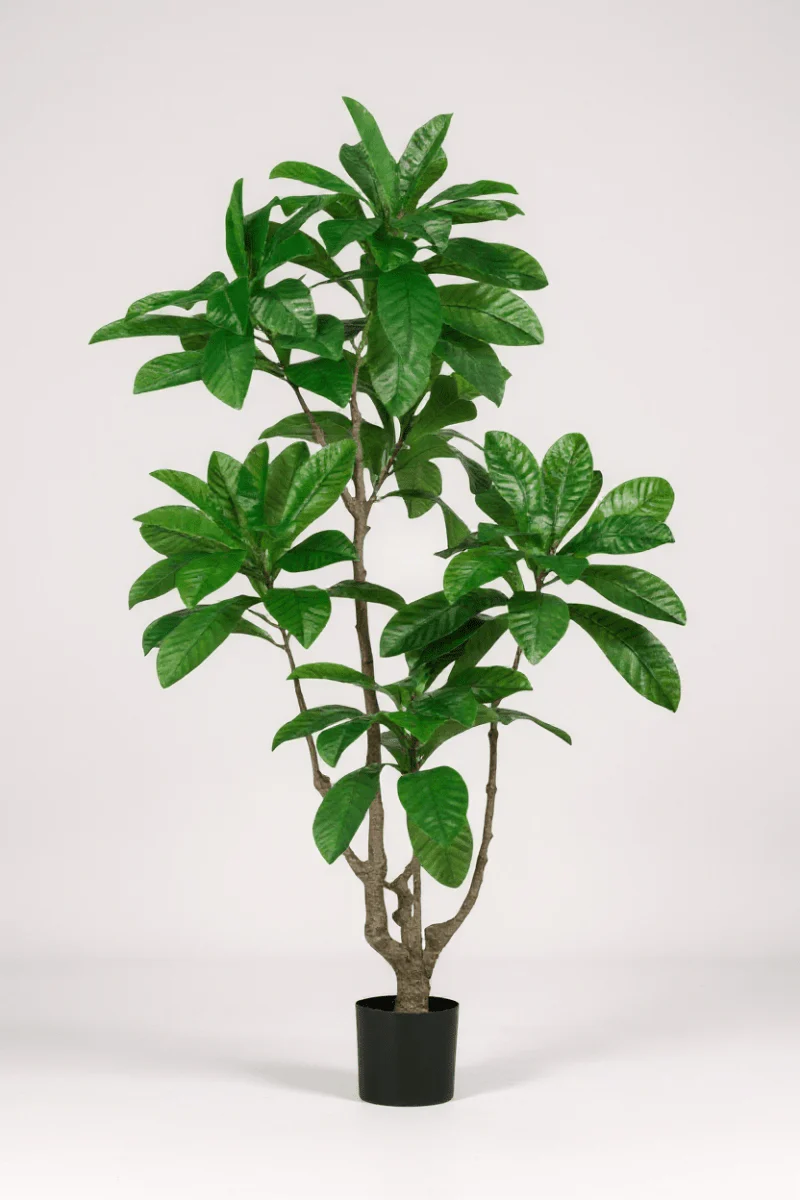 Loquat Tree (Life-like Artificial) - Image 7