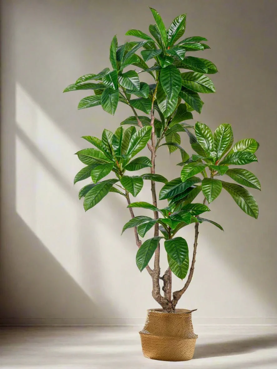 Loquat Tree (Life-like Artificial) - Image 8