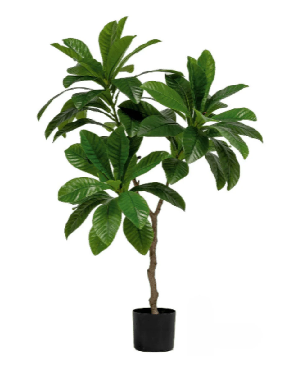 Loquat Tree (Life-like Artificial) - Image 9