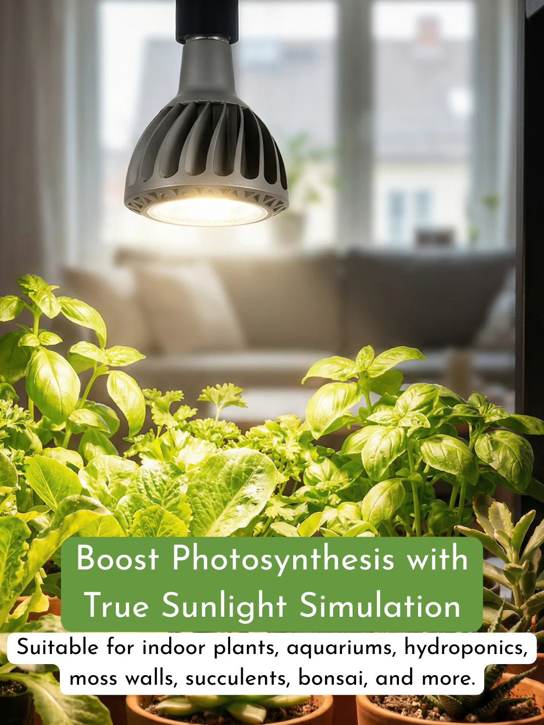LUMI Grow Lights (Bulb E27) - Image 3