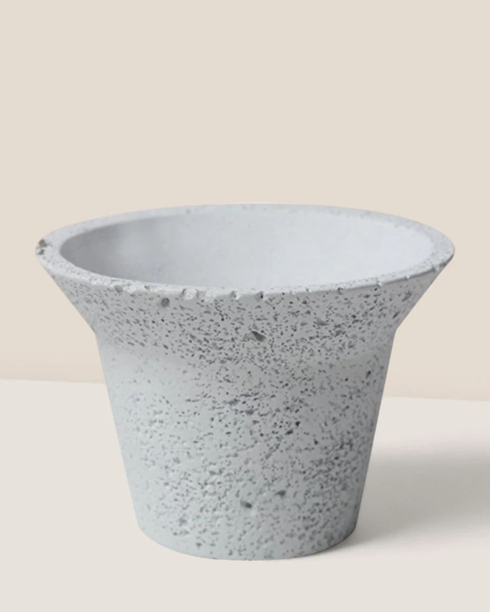 Luna Planters - Image 3