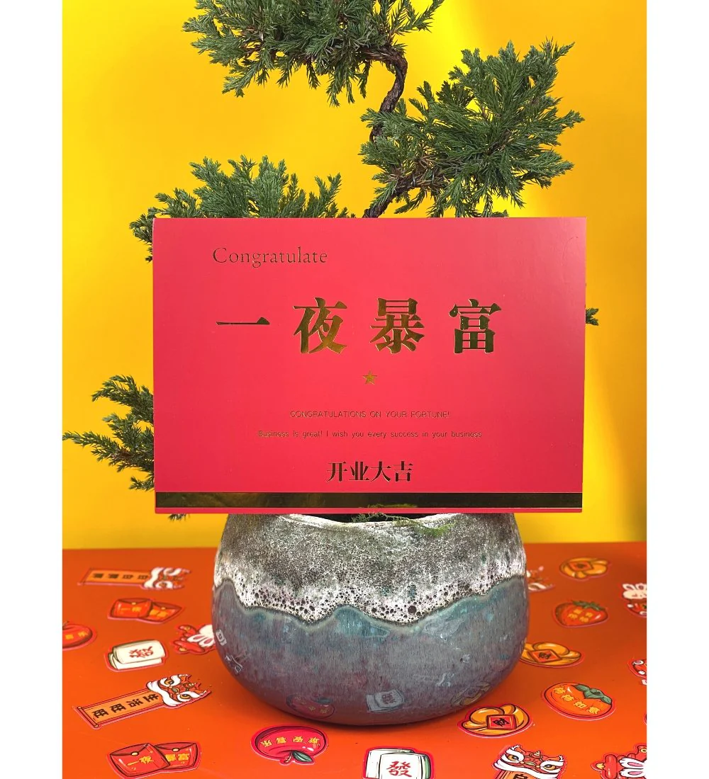 Congratulatory / Grand Opening Greeting Card - Image 8