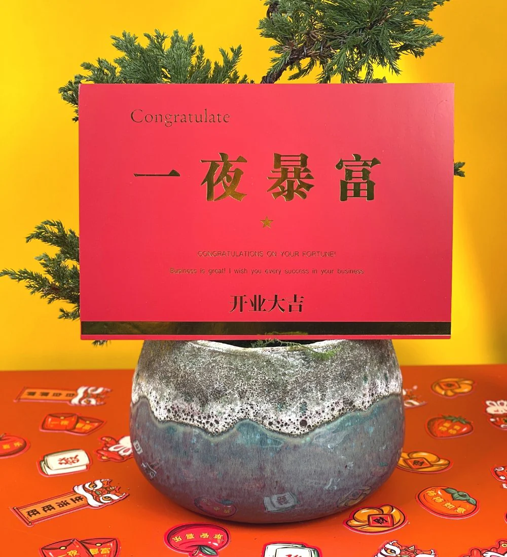 Congratulatory / Grand Opening Greeting Card - Image 9