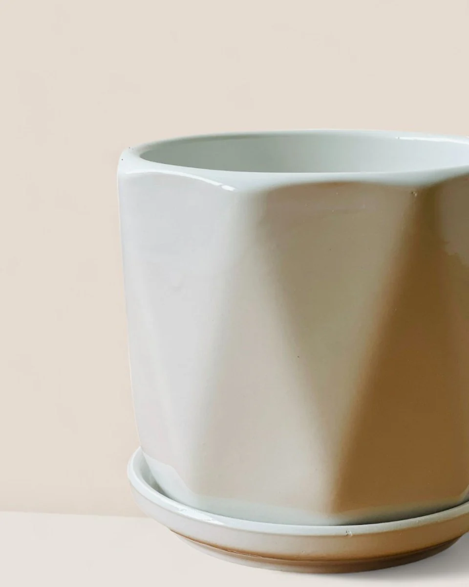 Madi Pot with Tray - Image 3
