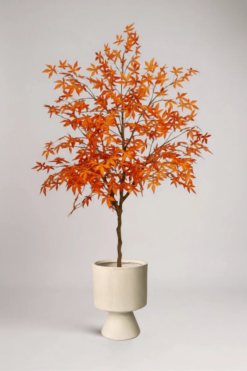 Maple Tree (Life-like Artificial) - Image 14