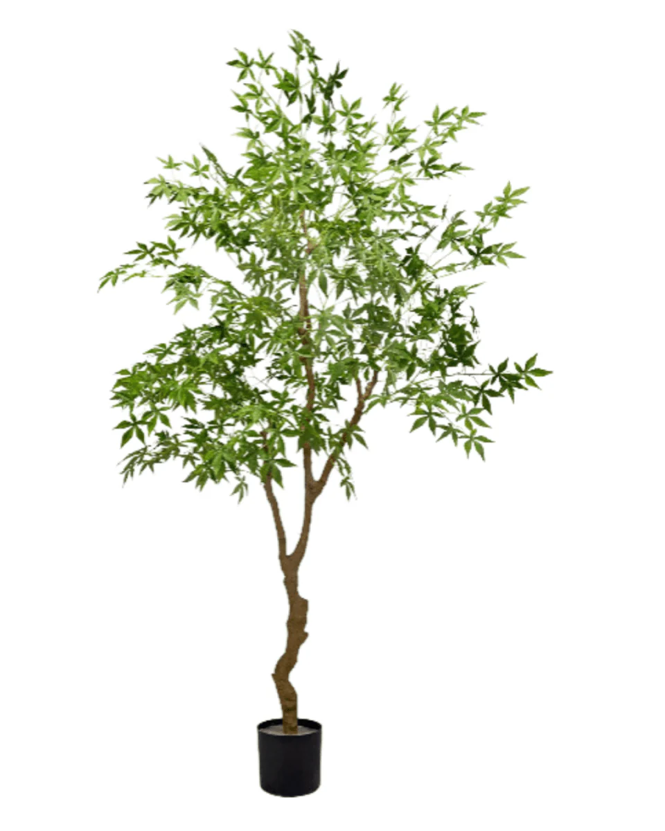 Maple Tree (Life-like Artificial) - Image 22
