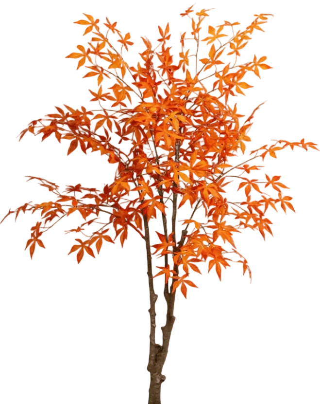 Maple Tree (Life-like Artificial) - Image 27