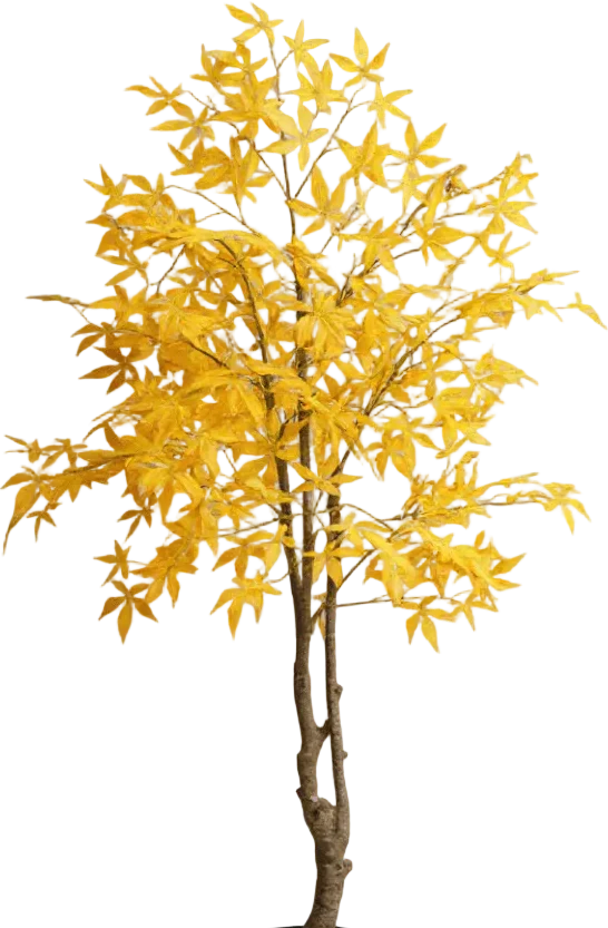 Maple Tree (Life-like Artificial) - Image 28