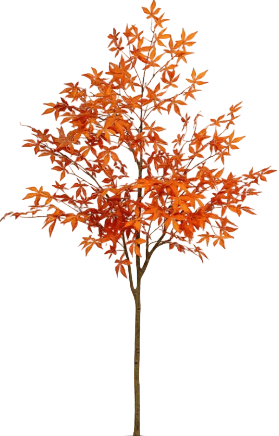 Maple Tree (Life-like Artificial) - Image 29