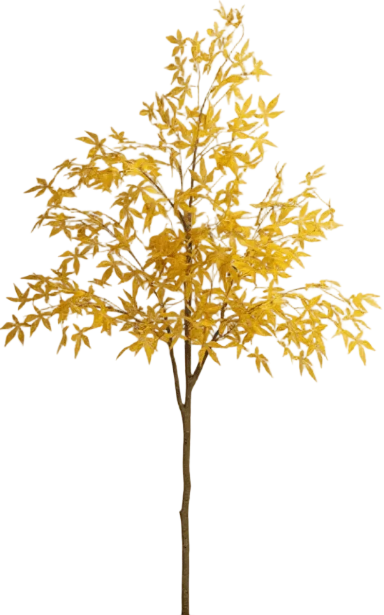 Maple Tree (Life-like Artificial) - Image 30