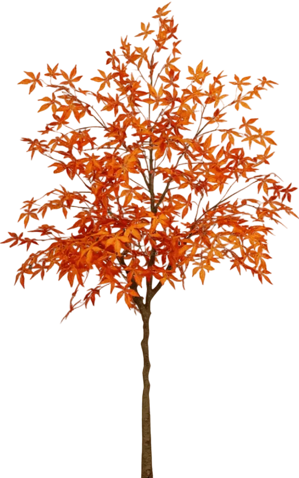 Maple Tree (Life-like Artificial) - Image 31