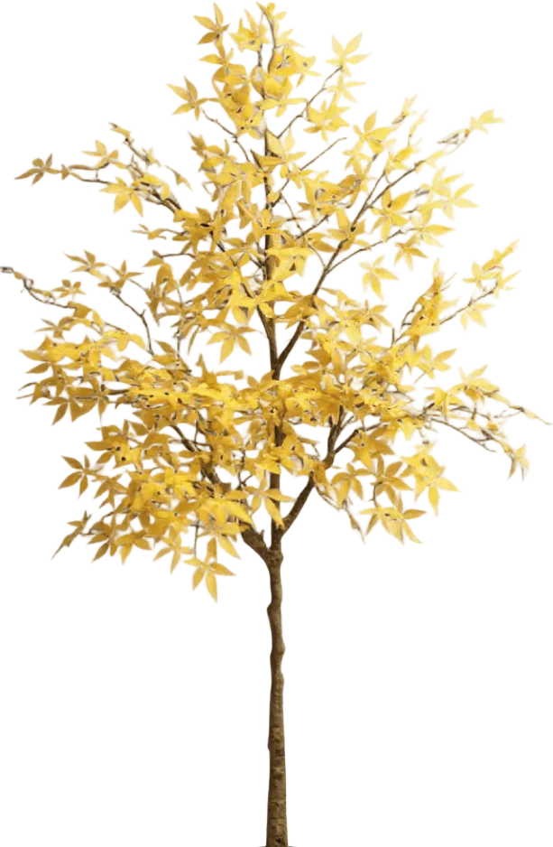 Maple Tree (Life-like Artificial) - Image 32