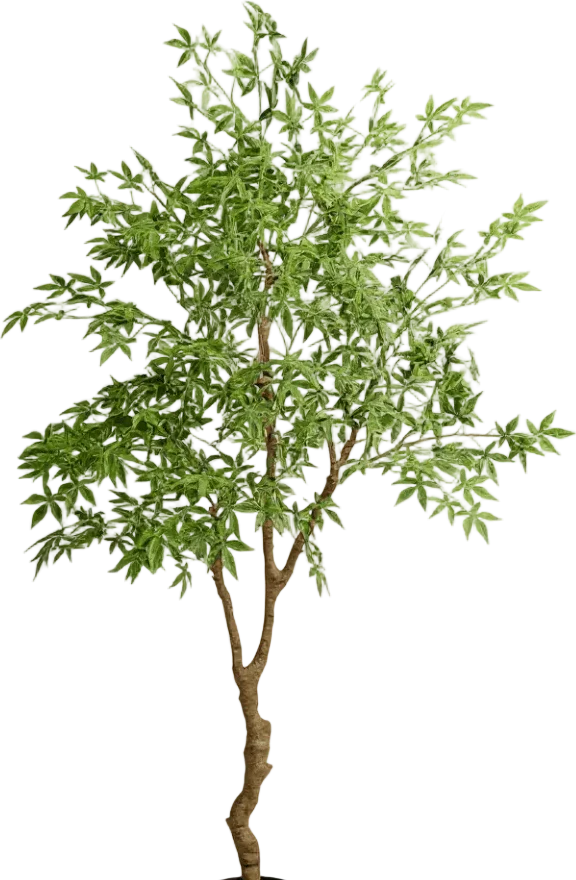 Maple Tree (Life-like Artificial) - Image 33