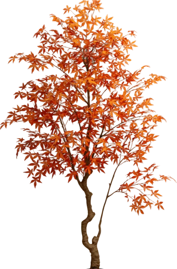 Maple Tree (Life-like Artificial) - Image 34