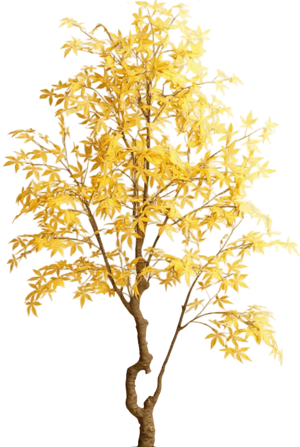 Maple Tree (Life-like Artificial) - Image 35