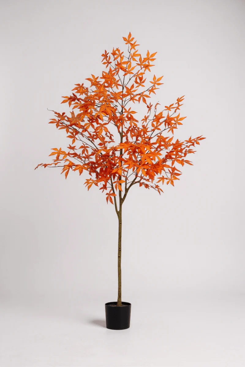 Maple Tree (Life-like Artificial) - Image 4