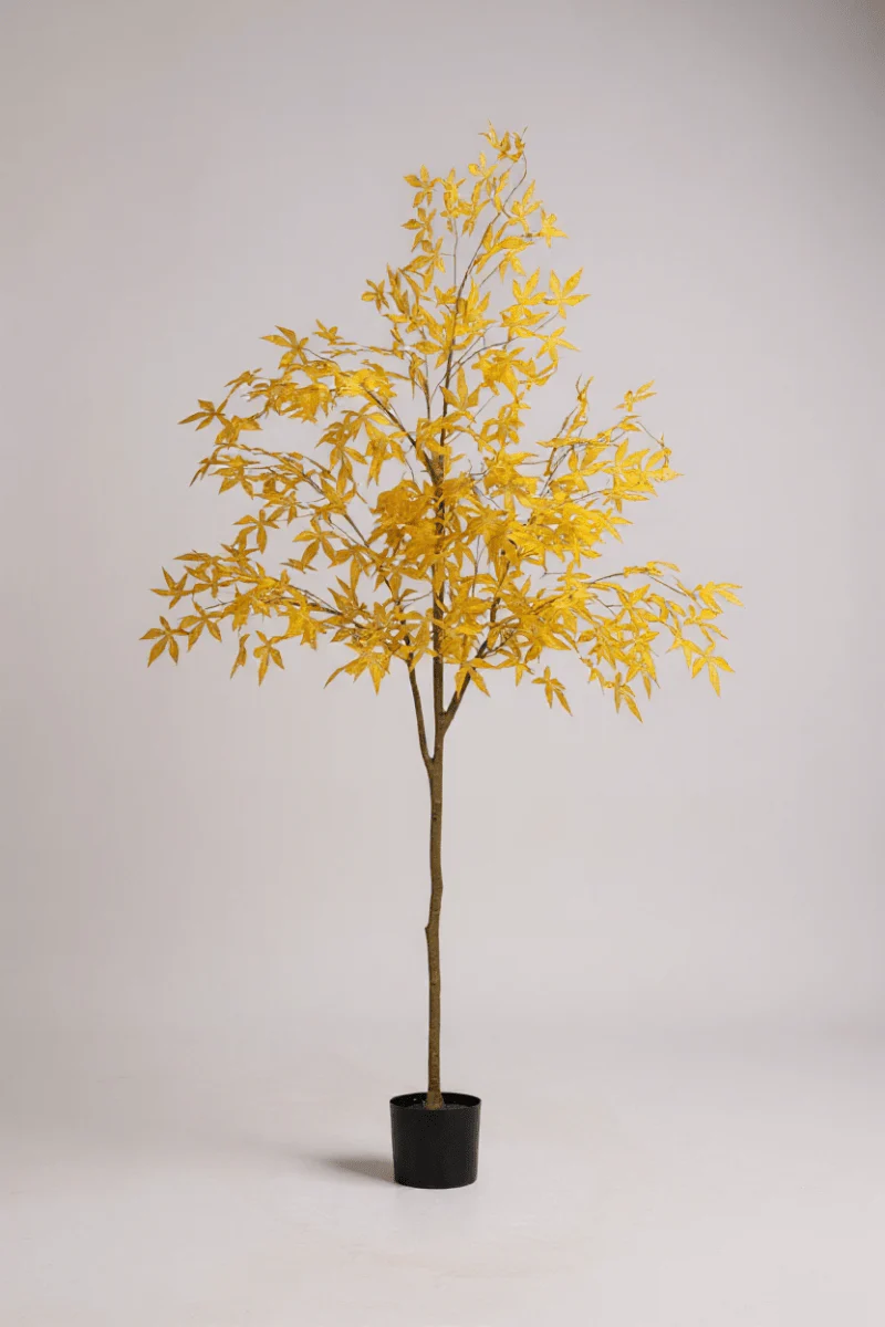 Maple Tree (Life-like Artificial) - Image 5