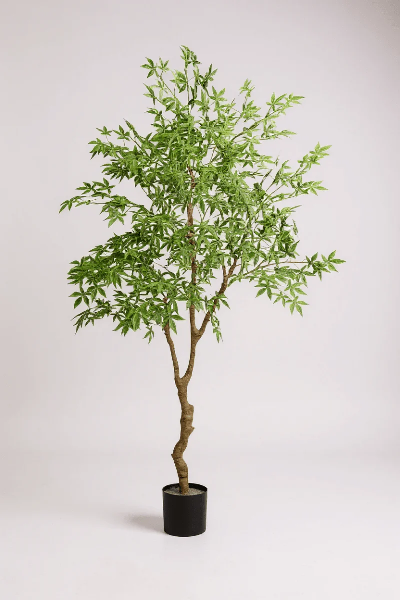 Maple Tree (Life-like Artificial) - Image 6
