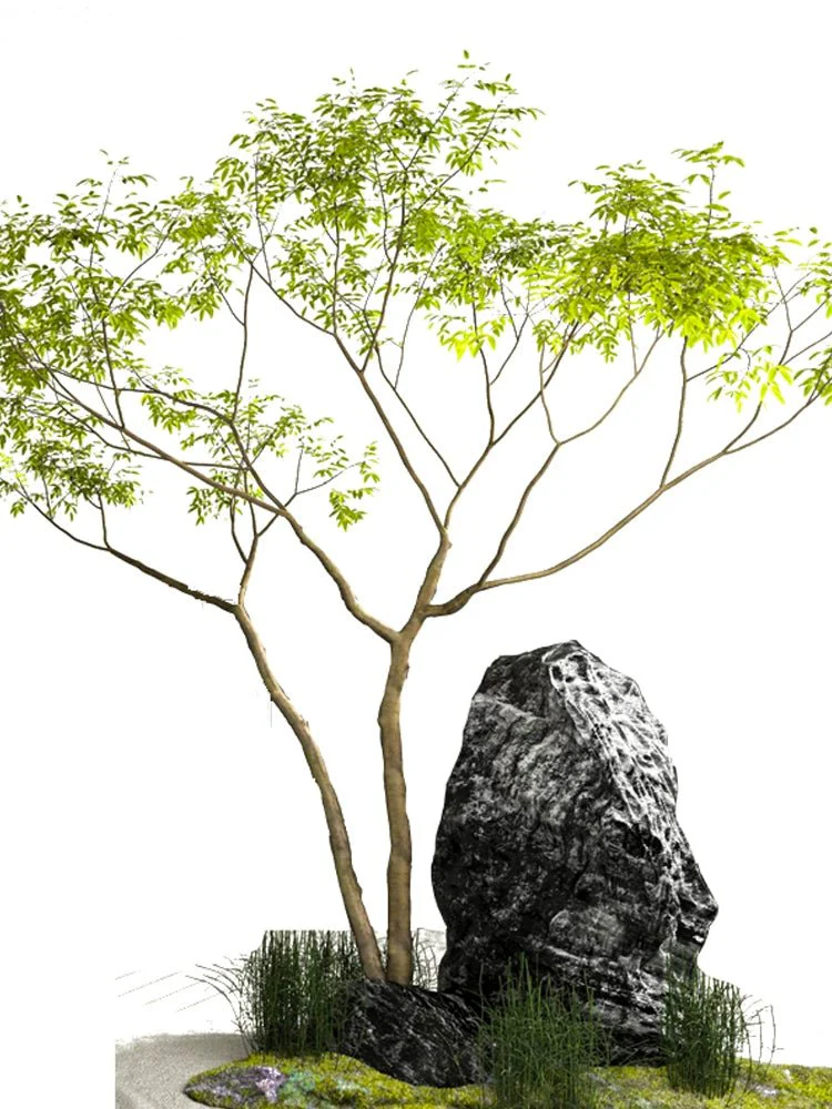 Maple Tree - Real-Trunk Artificial - Plant Installation - Image 5