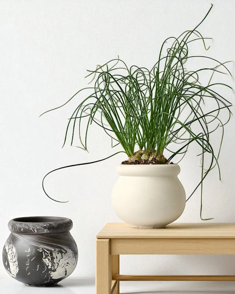 Marbelle Orb Planter - Image 5