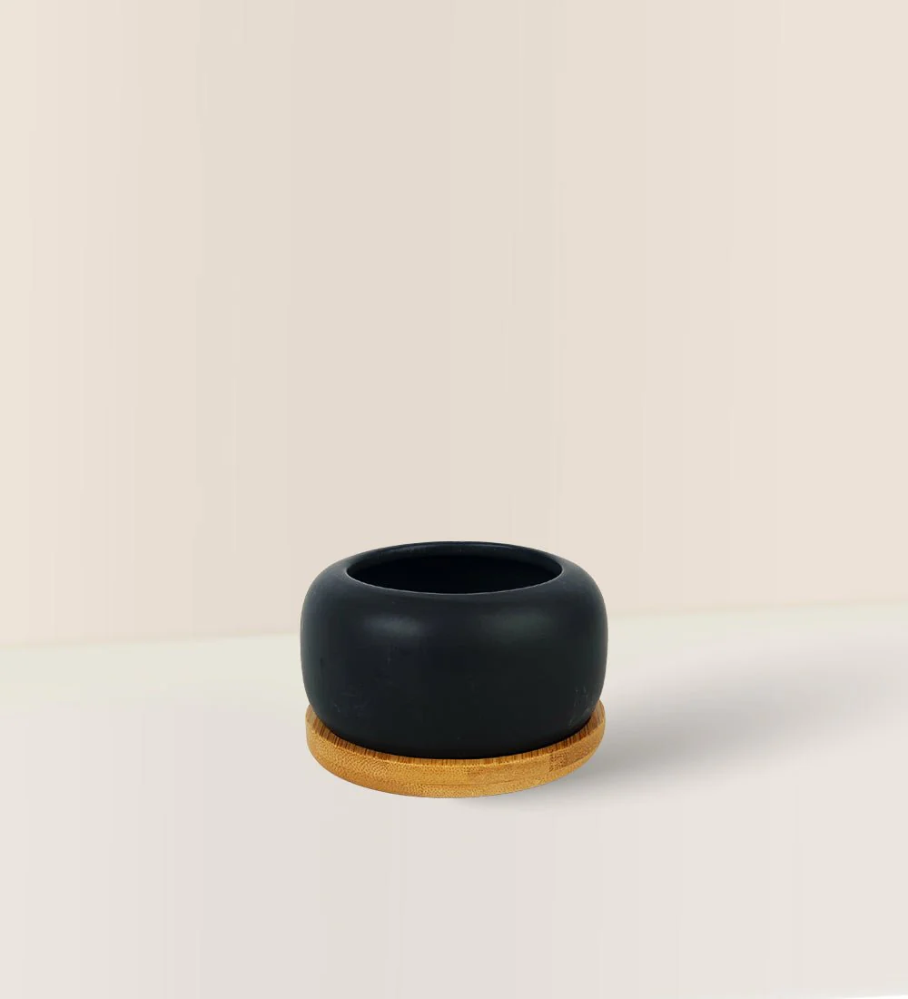 Matte Black Cement Pot with Wooden Tray - Short - Image 2