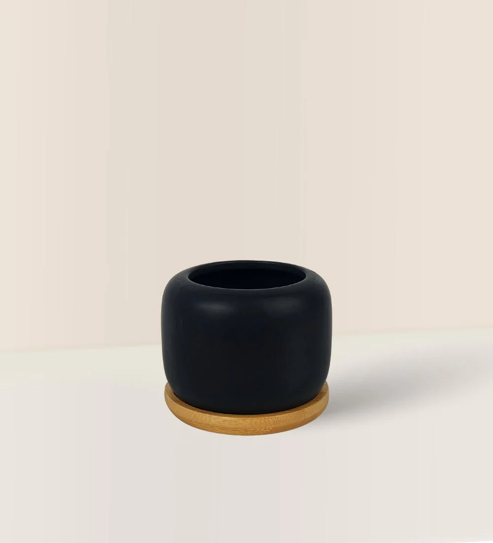 Matte Black Cement Pot with Wooden Tray - Short - Image 3