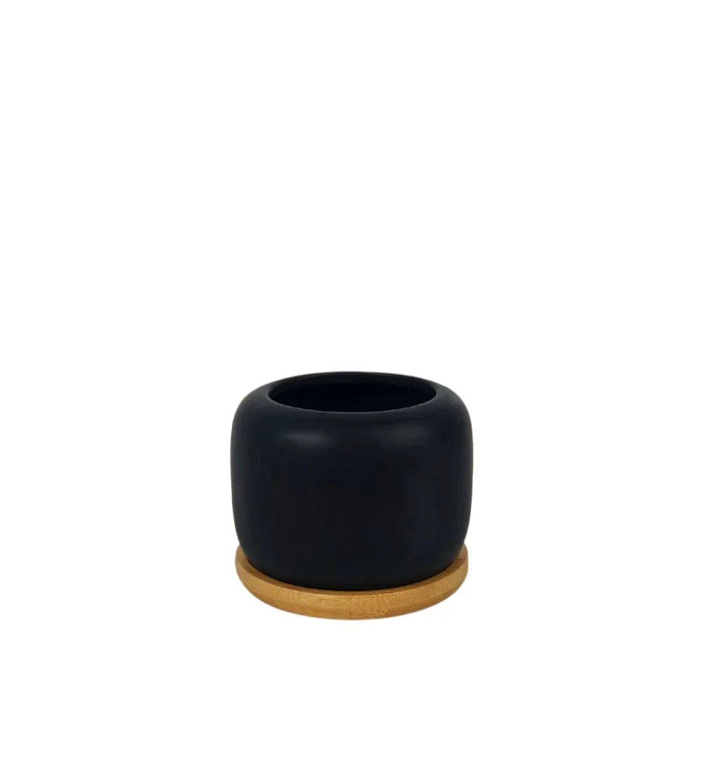 Matte Black Cement Pot with Wooden Tray - Short - Image 6