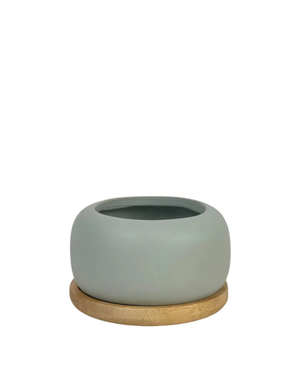 Matte Marine Grey Cement Pot with Wooden Tray - Short - Image 4