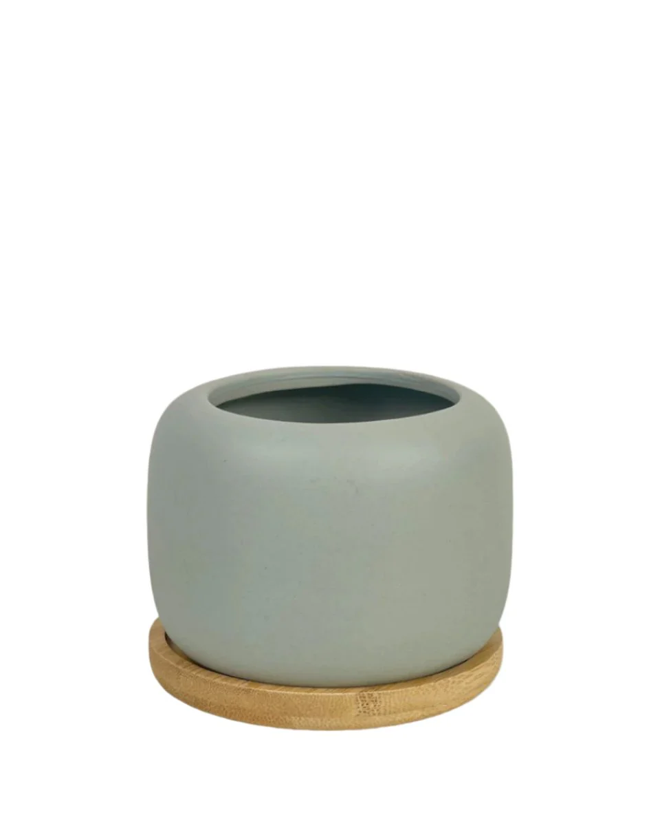 Matte Marine Grey Cement Pot with Wooden Tray - Short - Image 5