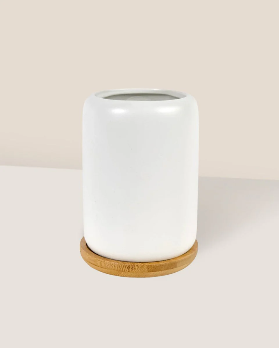 Matte White Cement Pot with Wooden Tray - Tall