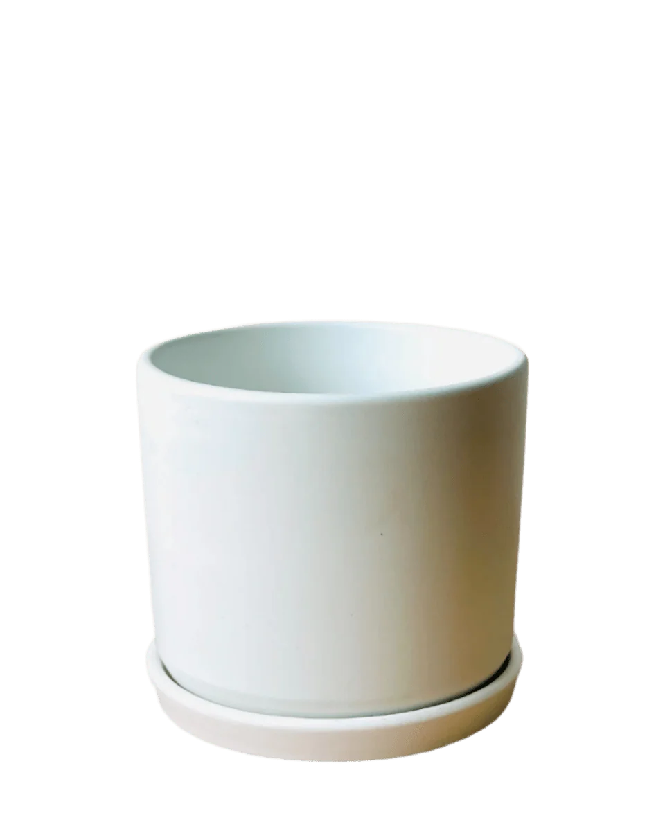 Medium Abigail Pot with Tray - Image 3