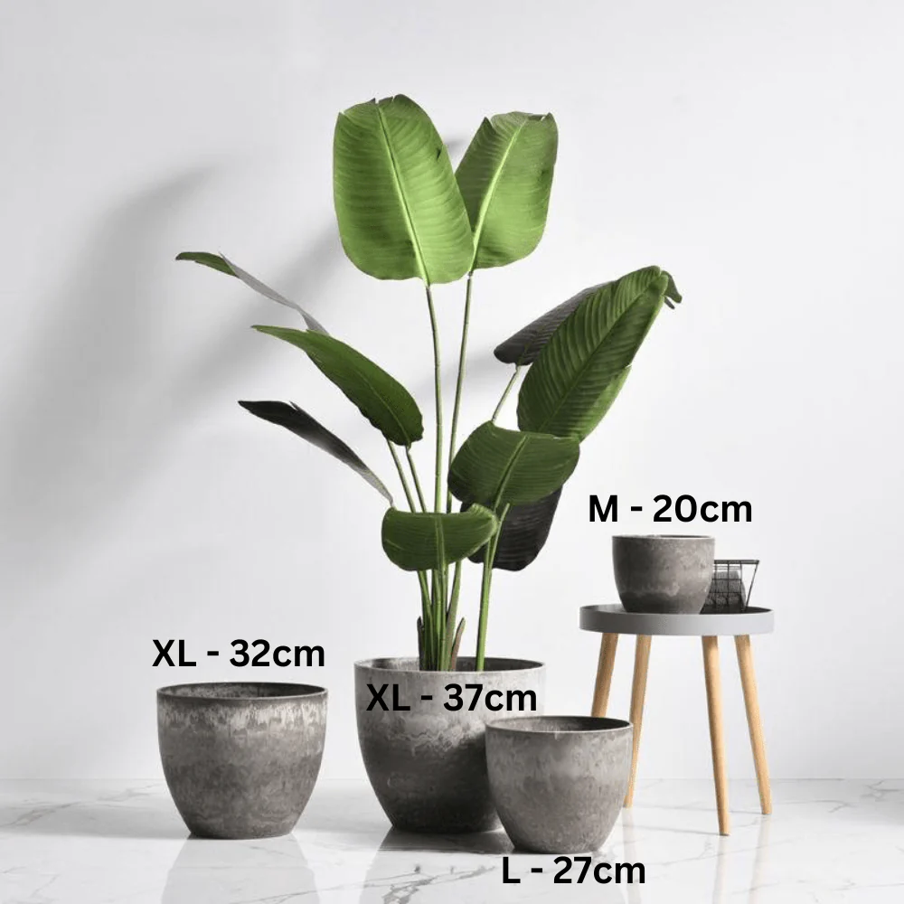 AirStone Egg Pots - Medium - Image 13