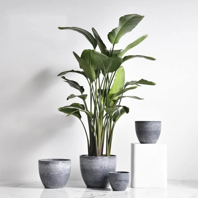 AirStone Egg Pots - Medium - Image 15