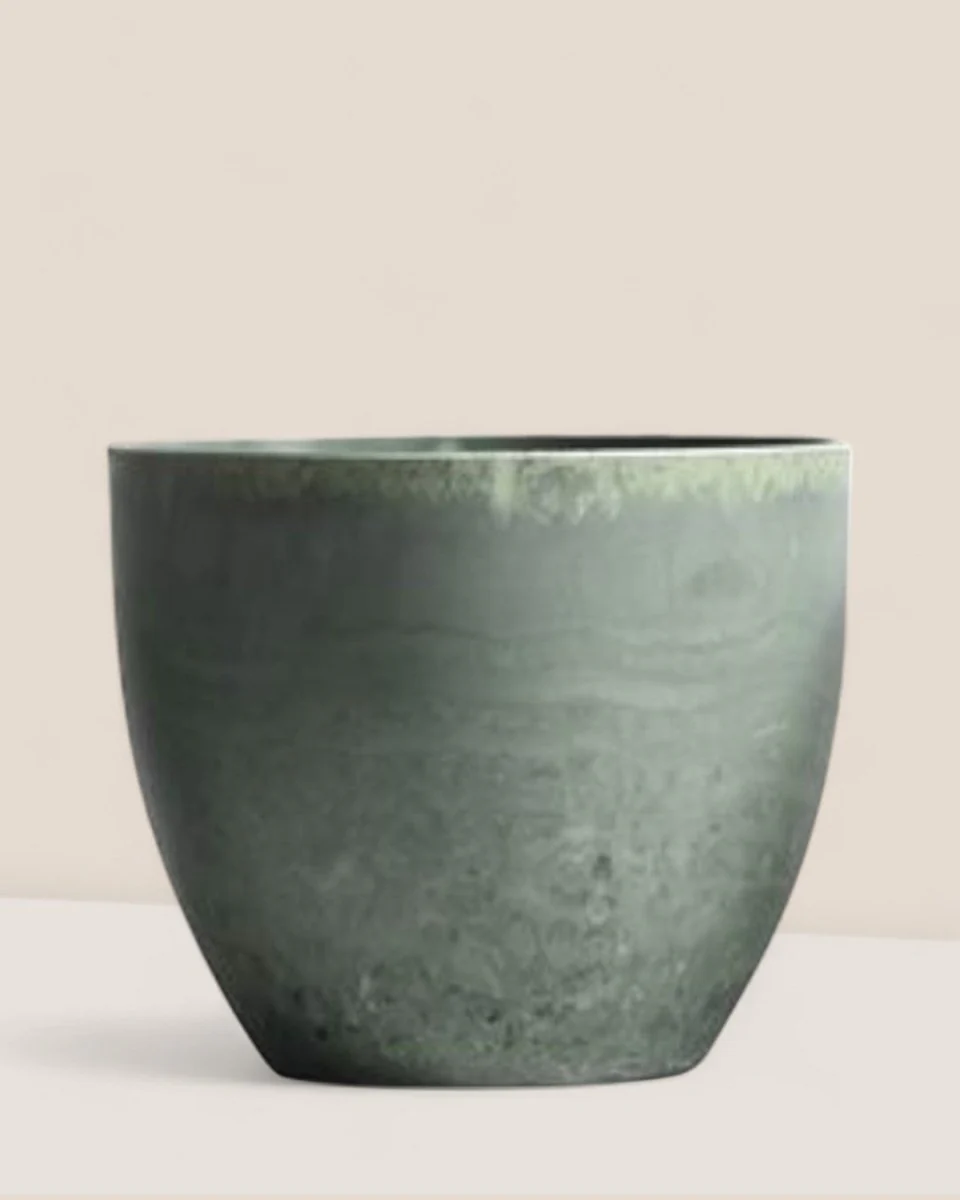 AirStone Egg Pots - Medium - Image 2