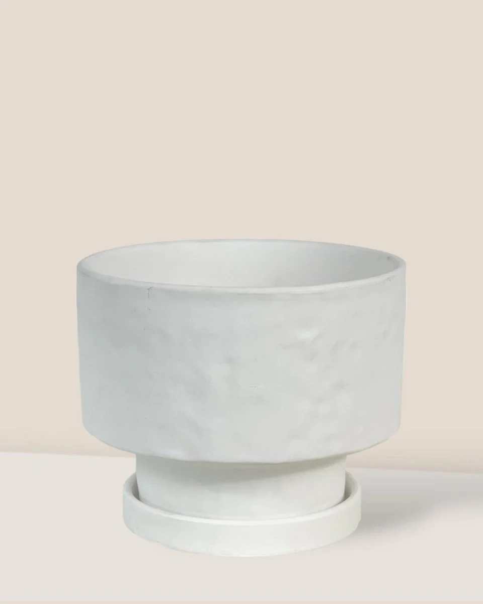 Astra Pot - Medium - Image 6