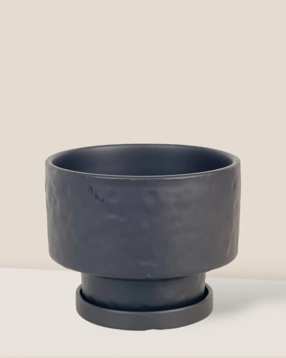 Astra Pot - Medium - Image 9