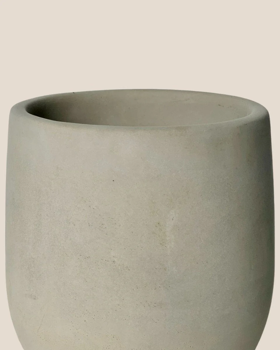 Dusty Grey Cement Planter with Tray - Medium - Image 4