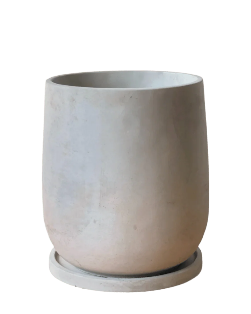 Dusty Grey Cement Planter with Tray - Medium - Image 6