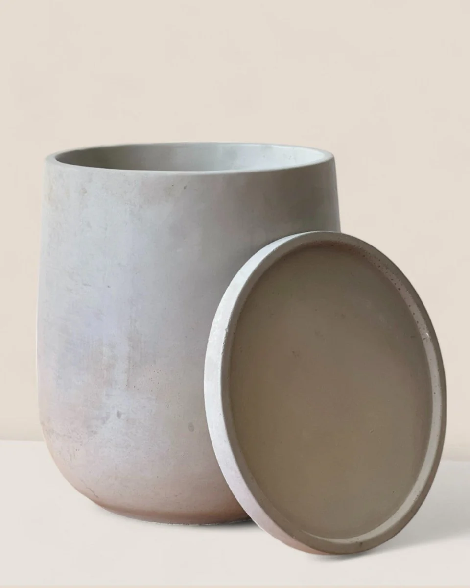 Dusty Grey Cement Planter with Tray - Medium - Image 7